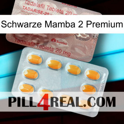 Black Mamba 2 Premium new13